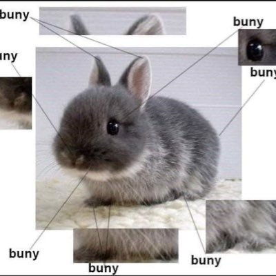 somebunnyditsy's profile picture. 