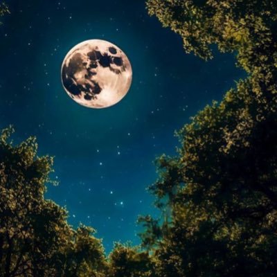 joodly_kwt's profile picture. 