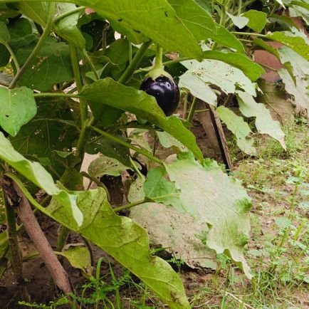 kirti_meen93594's profile picture. reading books 
adventure