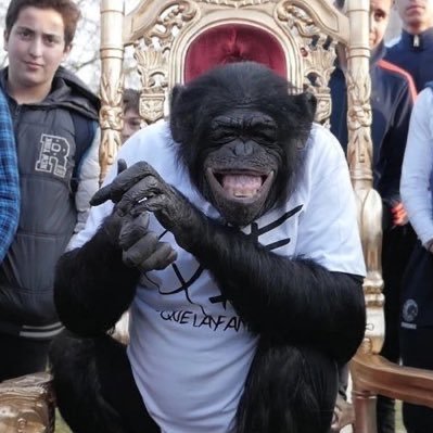 Fibrone1's profile picture. Ambitionz Az A Rida🫀