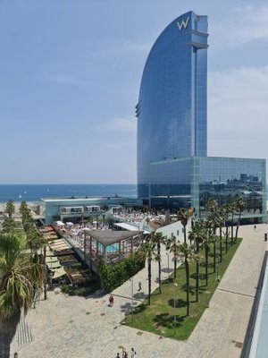 MTNProjects's profile picture. We specialize in commercial law with a focus on AI and tech startups, delivering expert legal counsel tailored to the unique needs of innovative ventures.