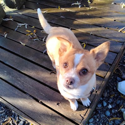 MEG72295's profile picture. Hello. Please click the link below for your experience. Thank you!

https://t.co/hIyy8ffO1K