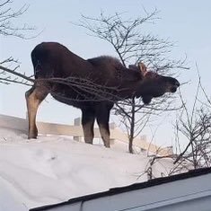 Woody89519783's profile picture. Military Vet enjoying life