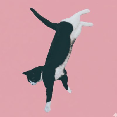 sato_rei0831's profile picture. ライター・編集者☁️関心テーマはメンタルヘルス、女性の働き方・生き方、家族やパートナーシップ。通信大学の心理学部に通っています。noteで大学での学びやカウンセリングの体験記を書いてます✍️