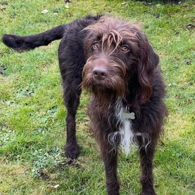 SkySZN_'s profile picture. 16 🇩🇰 | Fortnite for @AtlanticDK | $100k+ | 3x CC WINNER | 6x Grands | 2024 Globals Qualifier | b.e @dumimgmt