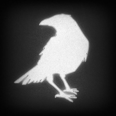 moamenxrabe3's profile picture. 