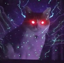 YMZ_OPC's profile picture. ガンオン勢からアルトRS乗りになった馬鹿　

64天安門