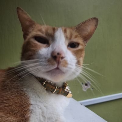 foodist12's profile picture. Be kind.