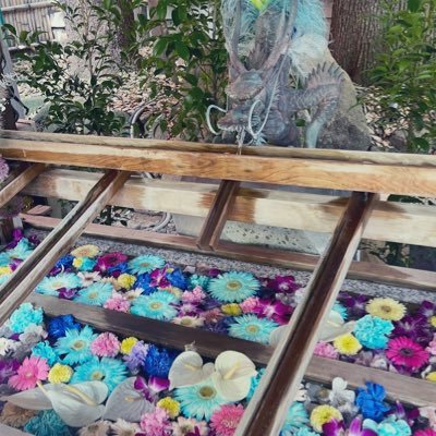 mariasama_'s profile picture. 今日も生きててくれてありがとう