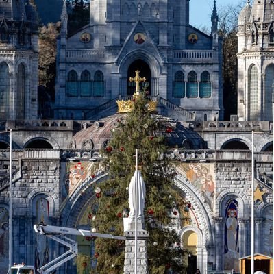 tennisbackinsal's profile picture. God is working it out for me