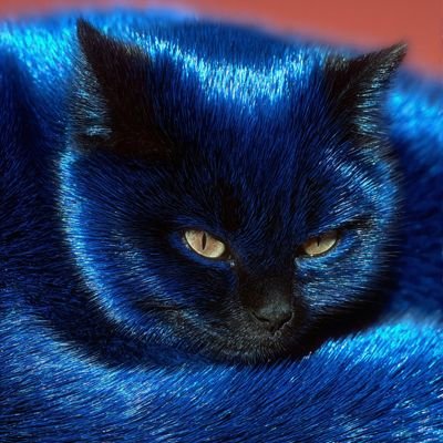 HChetan58453's profile picture. 