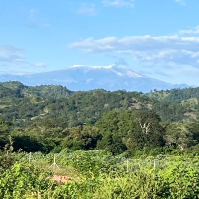 breinerdubans's profile picture. 