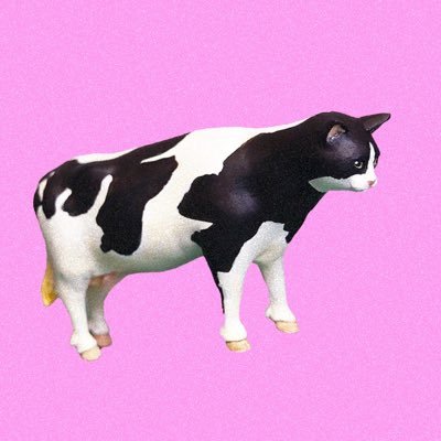 pap3rine's profile picture. habstappen warrior