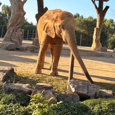 roy5011111's profile picture. 