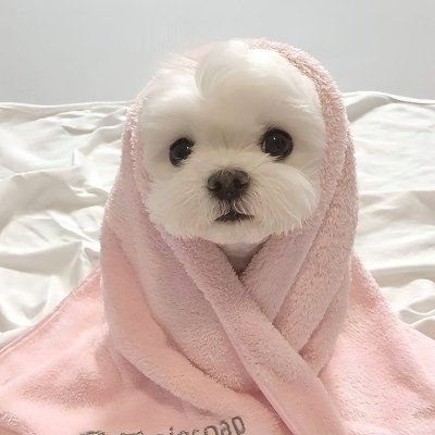 anh_le12952's profile picture. 