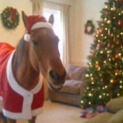 petereatsass's profile picture. 