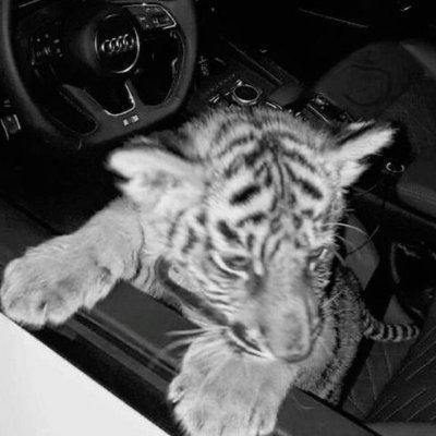 ScrollSZN's profile picture. 16 🇩🇰 | Professional Fortnite Player for @AtlanticDK | 4x CC Winner | $100k+ | 6x FNCS Grand Finalist | 2024 World Cup Qualifier | b.e @dumimgmt