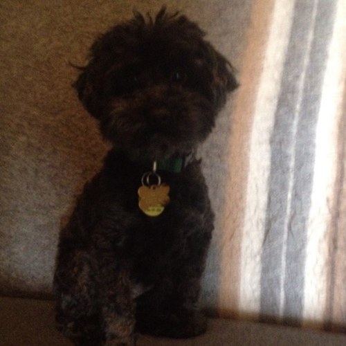 SirThomasGray's profile picture. 