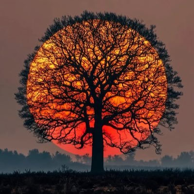 wwwk2u's profile picture. Minding my business📍| Sidereal/Vedic Astro readings 📖⚖️