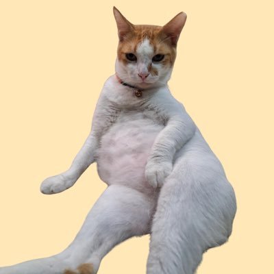 randomlangss's profile picture. ha?