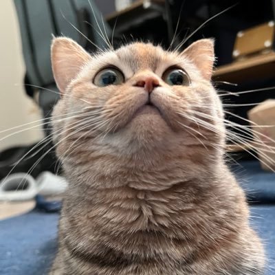 716_Gaia's profile picture. 基本R6Sしてるけど他のゲームも色々したい。色んな人とも遊びたいしちょこちょこ配信していくんでフォロー待ってます🍀