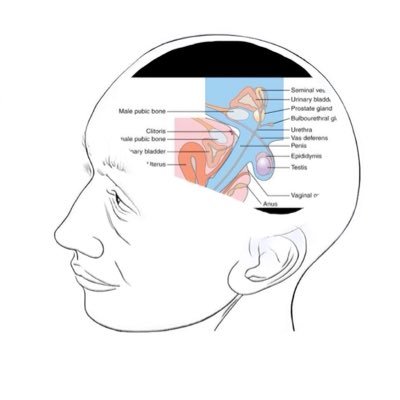 imrebored's profile picture. 18 | pan | any pronouns | dom leaning switch | hard and soft kinks