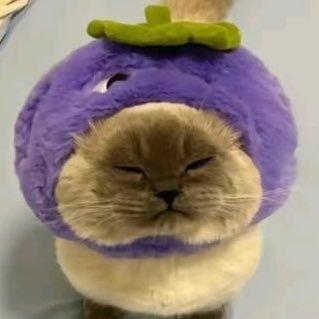 allforchulsoo's profile picture. 