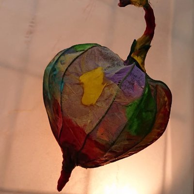 SGZGIRL007's profile picture. 📙🖊作家🖼画家🖌災害ボランティア/難民支援/平和活動/福祉支援/動物愛護/環境問題/医学法学研究家🌎英国国教会修道女⛪
幼少から楽器に囲まれクラシック育ち🎵GLAY TAKURO氏=兄の高校同級生🏫ヴィーガン/O型/蟹座🦀TAIJI命日=誕生日🎂
「すべての不幸は、未来への踏み台に過ぎない。」ソロー