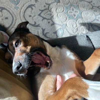 DiFFn_fun's profile picture. 