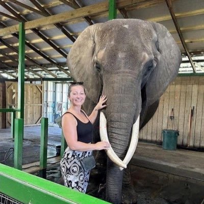 CarolineFaurest's profile picture. 