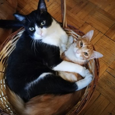 Supo4857's profile picture. 