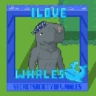 BchXavi's profile picture. Pixels/Axie/Fishing Frenzy Player(F2P). BCH Guild Member.