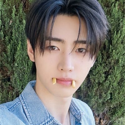 wonlotomy's profile picture. 