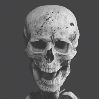 venomducky1994's profile picture. gassychungus3