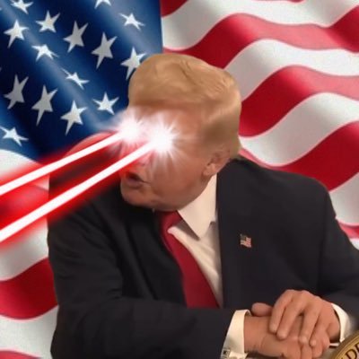 stupidcoinbonk's profile picture. Are you Stupid?