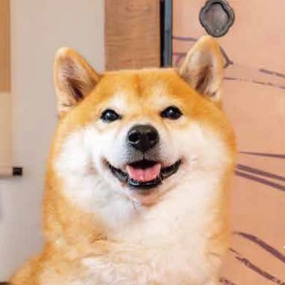 Shi-Ba【シーバ】＋犬びより (@ShiBa2929) / Posts / X