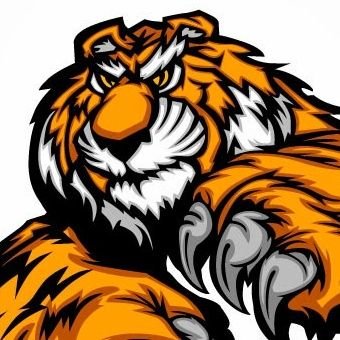 gss_62's profile picture. vibe coding...