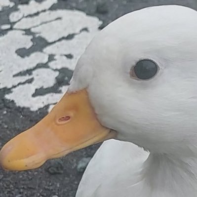 Be_rserker_'s profile picture. 