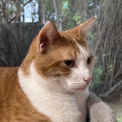 _yongsa_'s profile picture. fanart. Serious art is on my tumblr.