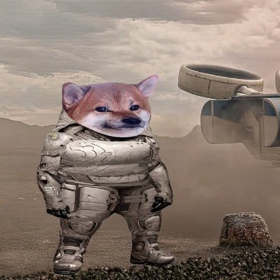 AnginaBC's profile picture. Here for Ukraine. 1/4 Ukrainian 3/4 regular human. Mostly retweets. Russia = terrorist state https://t.co/rKL6nLfy0H