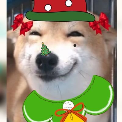 SeaLingOrm's profile picture. ทะเลคนเดิมเพิ่มเติมคือแอคเก่าปลิว 
เราจะโอบกอด #หลิงออม ไว้เสมอ มีพี่ #linglingkwong ก็ต้องมีน้อง #Ormkornnaphat เมนพี่หลิงที่รักน้องออม💜🍮🌶