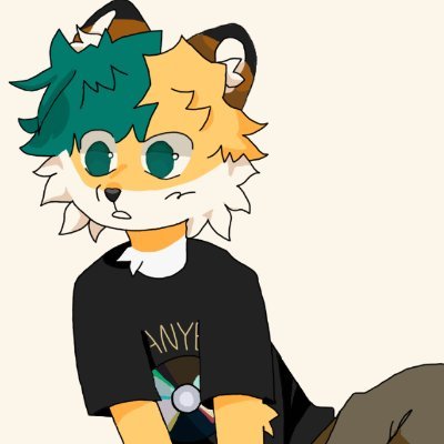 chasskyfox's profile picture. hi i m chassky
i draw silly animals 
your fox from hawaii (pfp by tbxa)