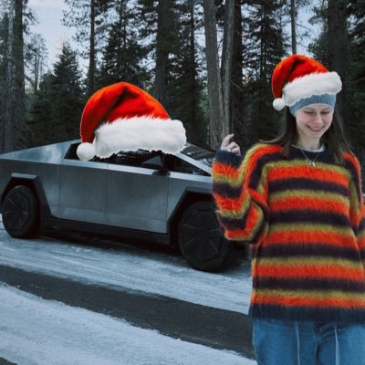 battleangelviv's profile picture. social @Tesla @X