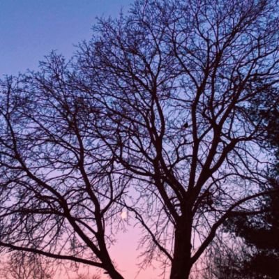 linn_pieper's profile picture. Mom and animal lover

cash app - $Sassycomfort