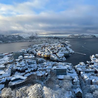 mikaelruud's profile picture. Your daily routine = Success. AI will evolve and become amazing tech we just got to get rid of the scammers