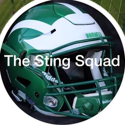 @TheStingSquad