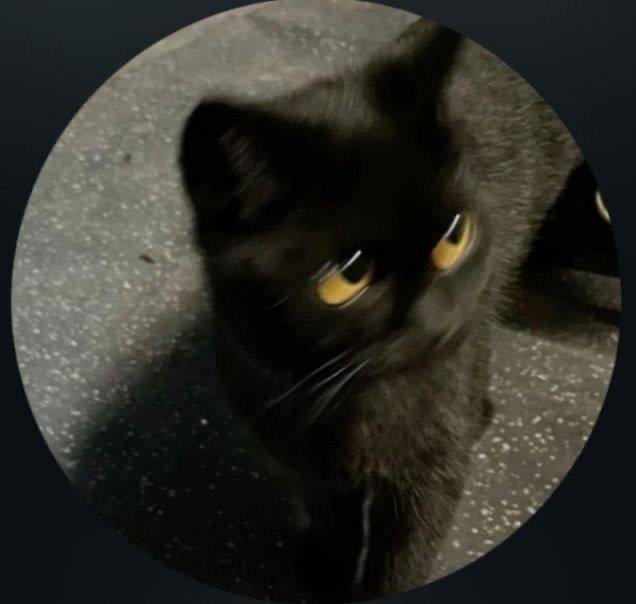 nrrrulain's profile picture. 