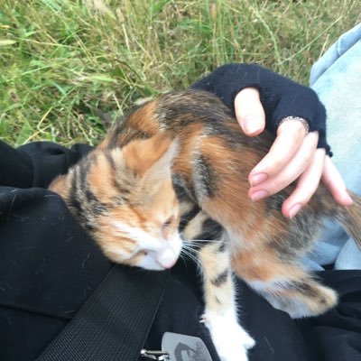 edriedflower's profile picture. 