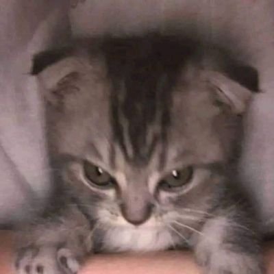 w1thying's profile picture. 