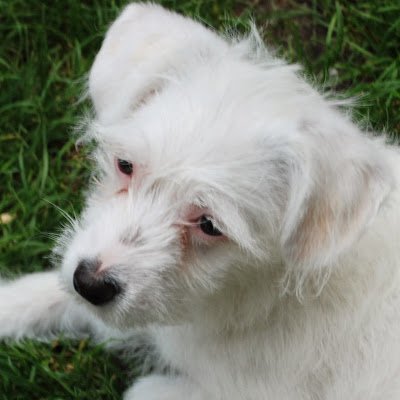 Soriso1743881's profile picture. 